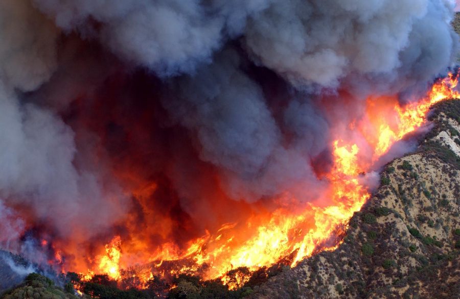 A+wildfire+caught+in+action%2C+destroying+everything+in+its+path.