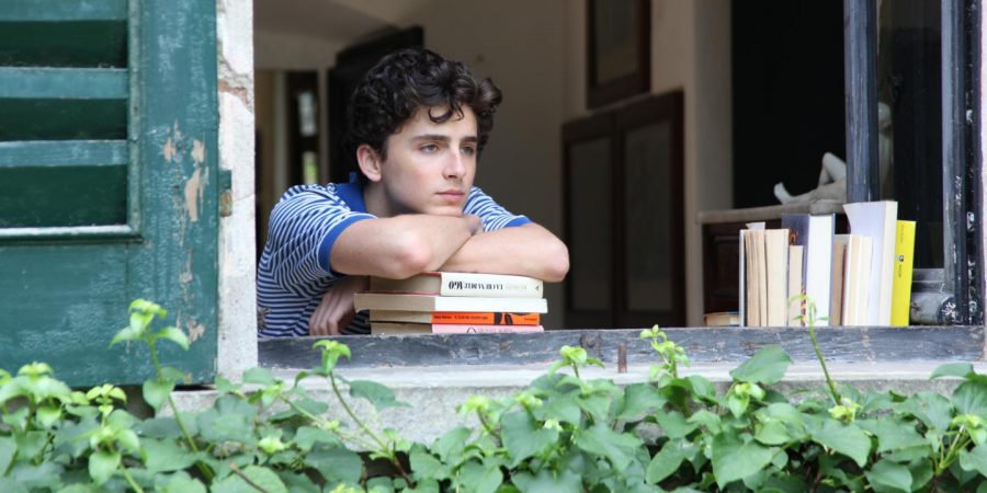 Calling+Timoth%C3%A9e+Chalamet+by+His+Name%3A+A+Superstar