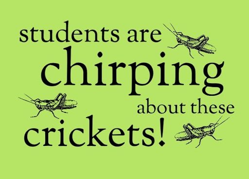 Gym Students Are Chirping about Crickets