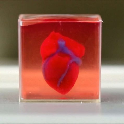 Improving Heart Transplants with 3D Printed Hearts