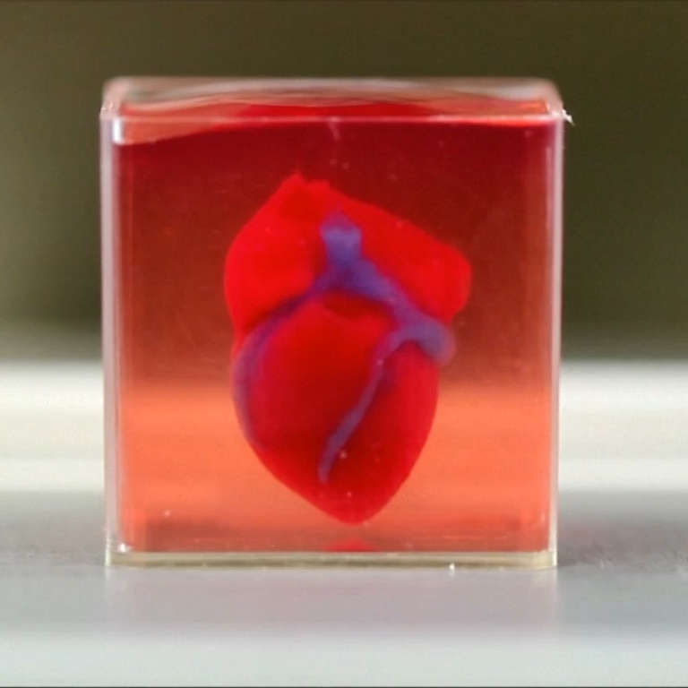 Improving+Heart+Transplants+with+3D+Printed+Hearts