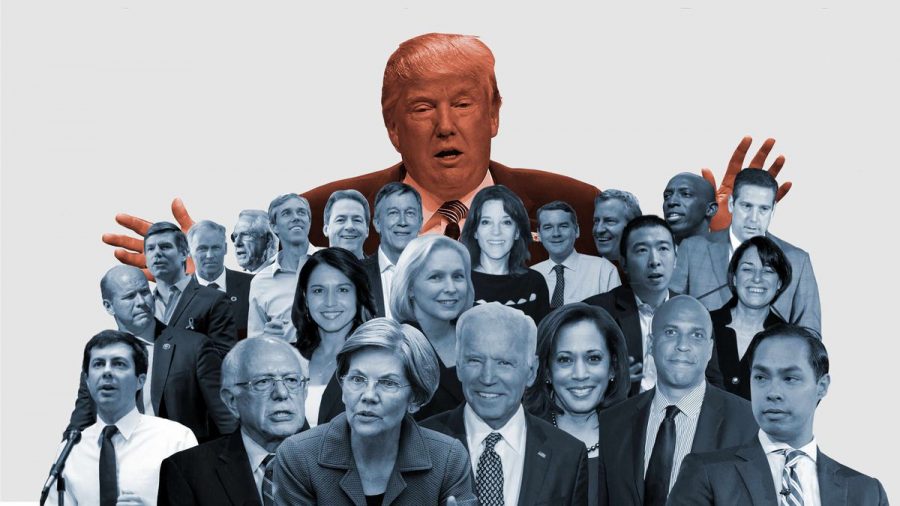 There are many Democrats running in the 2020 election in hopes of beating Trump to The White House