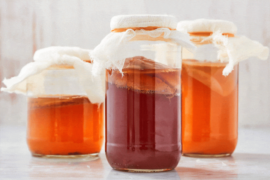 How+To+Brew+Your+Own+Kombucha