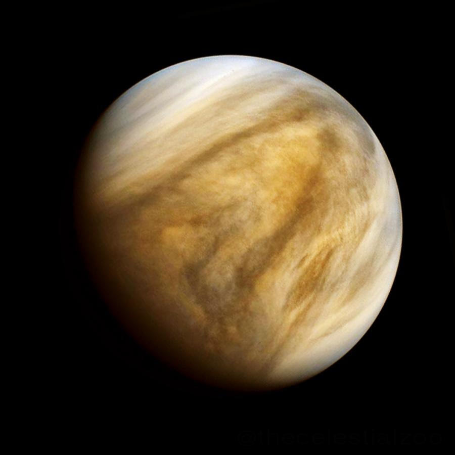 Signs of Life on Venus