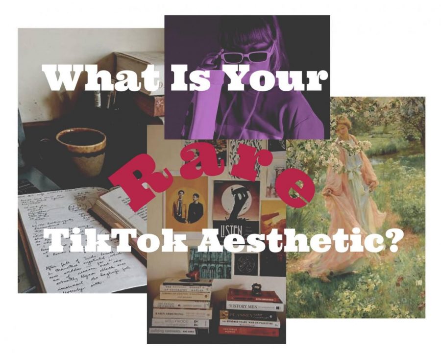 From kidcore to cottagecore to dark academia, TikTok users are finding communities in aesthetics that promote inclusivity and gender fluidity during the pandemic.