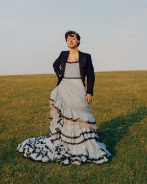 Harry Styles in a dress, as tweeted by Vogue Magazine