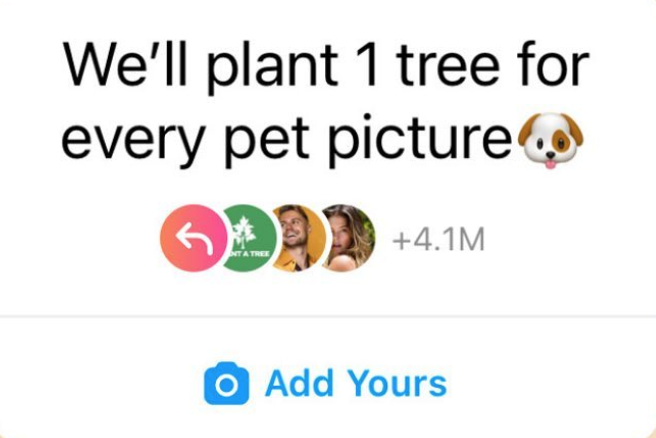 Plant a Tree Co.: The Root of 4.1 Million Pet Pictures