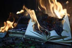 An image of the pages of books being burned in a growing fire. 