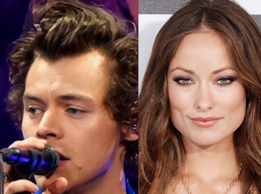 Harry Styles Calls It Quits with Girlfriend Olivia Wilde