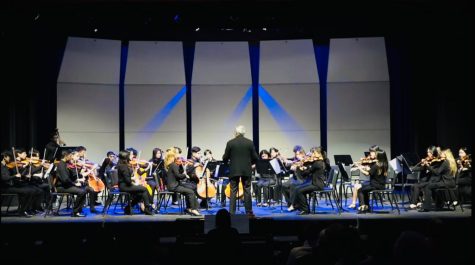 THS’s Musicians Shine in the Annual Winter Concert