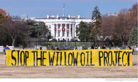 The Willow Project: Drilling for Oil or Threatening Wildlife?