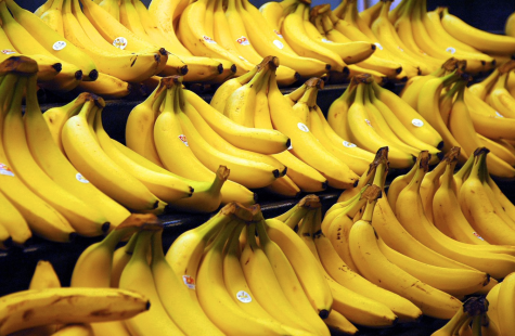 Bananas Go Seedless: The History of the Modern Banana