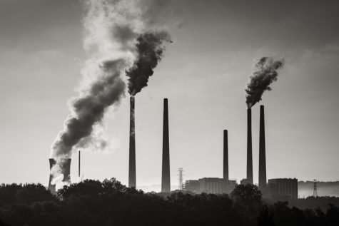 5 Daily Habits to Help the Environment