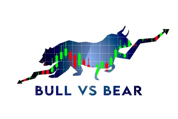 Decoding Bull and Bear Markets: A Quick Guide