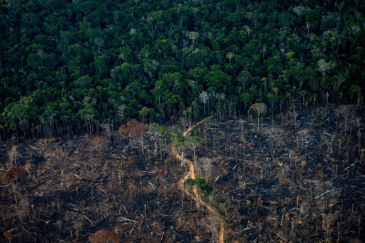 Deforestation+in+Brazil.+%28Creator%3A+MAURO+PIMENTEL+%7C+Credit%3A+AFP+via+Getty+Image%29%0A