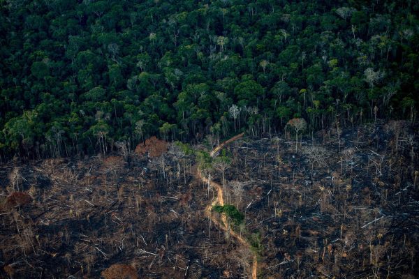 Deforestation in Brazil. (Creator: MAURO PIMENTEL | Credit: AFP via Getty Image)
