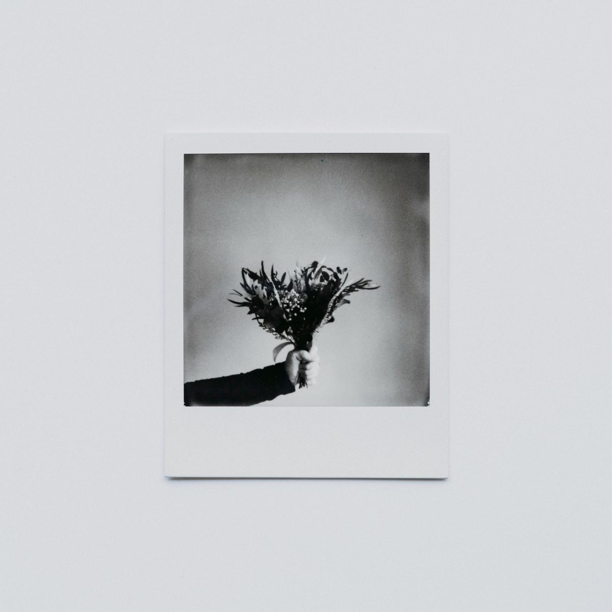 Annie Spratt’s film photography with a 120.00mm vase (non-copyright via Unsplash) 
