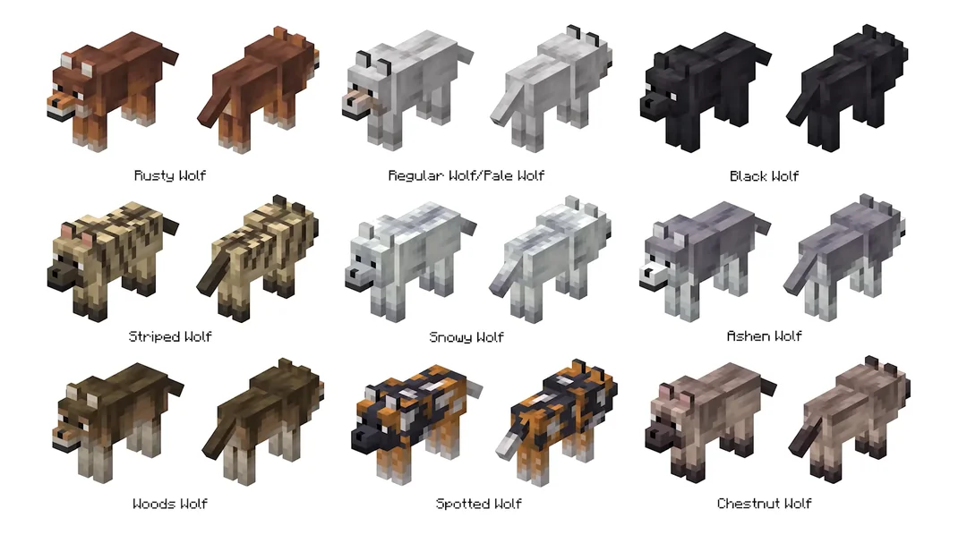All 8 of the new Minecraft wolf variants.