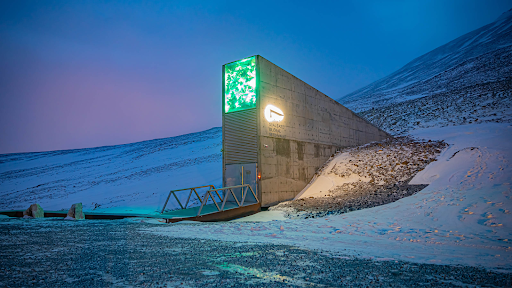 Preserving Biodiversity Within the Svalbard Global Seed Vault