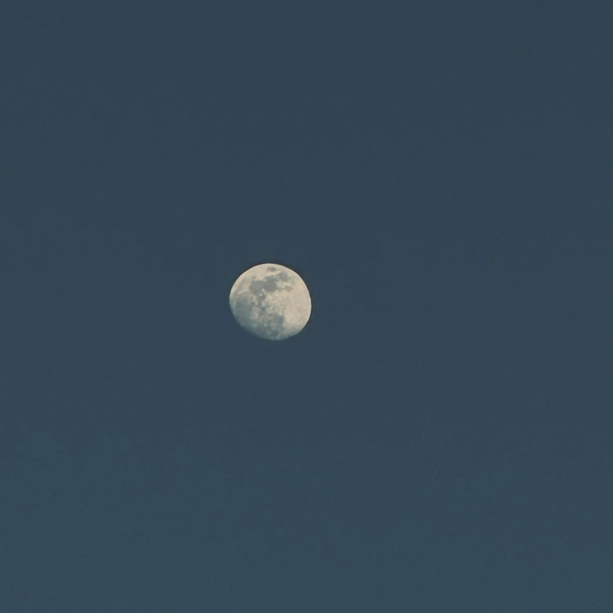 Picture of the Moon. 