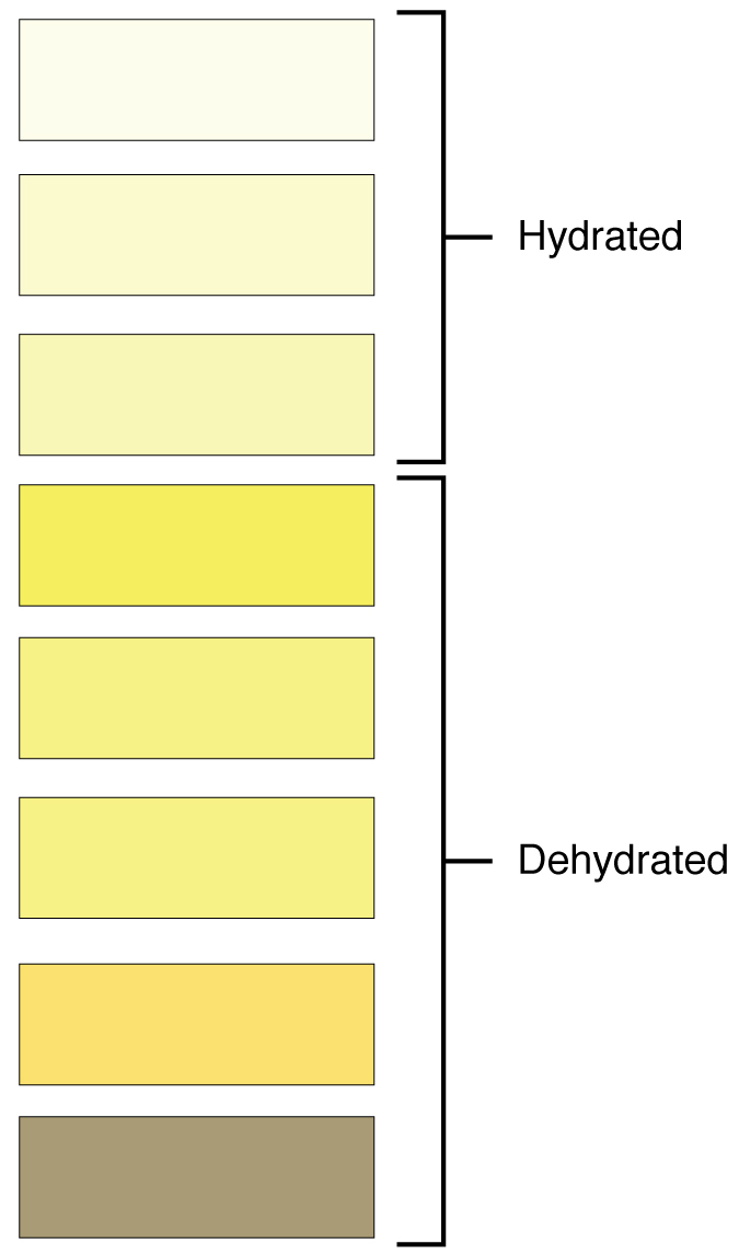 How Much Water Is Too Much Water?