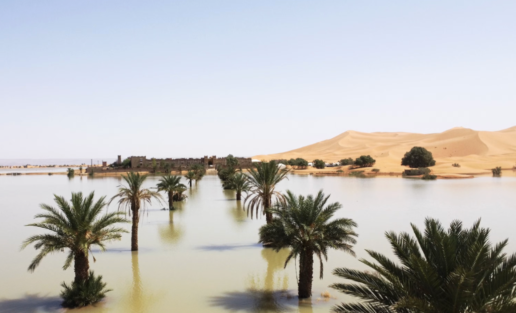 From Dry to Drenched in the Sahara