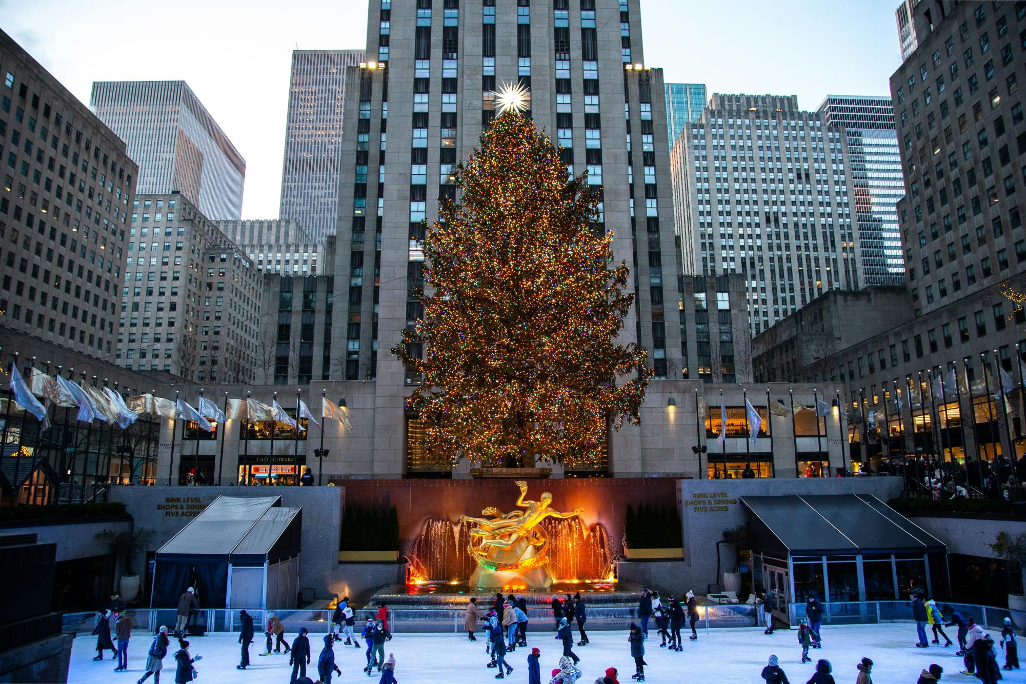 Rockefeller Christmas Tree Set to Arrive This Month