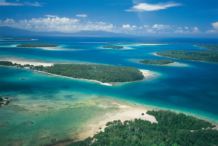 World’s Largest Coral Discovered Off the Solomon Islands