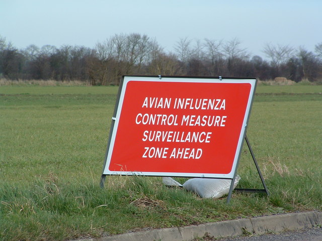 Increase in Bird Flu across US Ignites Concern in Midst of Rampant Flu Season