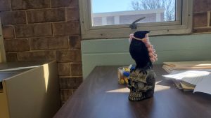 The raven that sits on top of Mrs. Oppedisano's desk during AP Lang and other classes