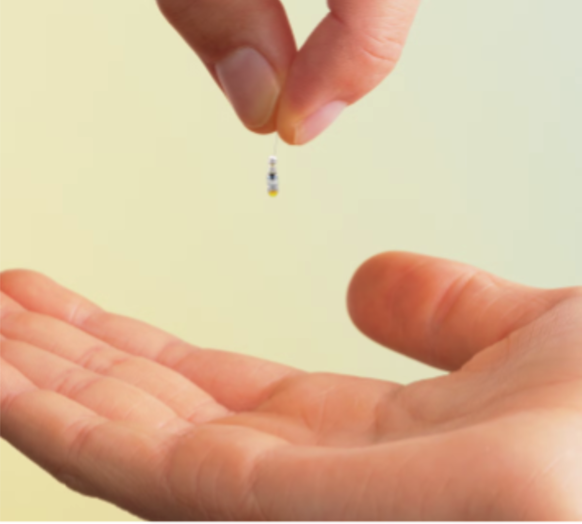 Photo from The Independent, Robeauté’s Microbot