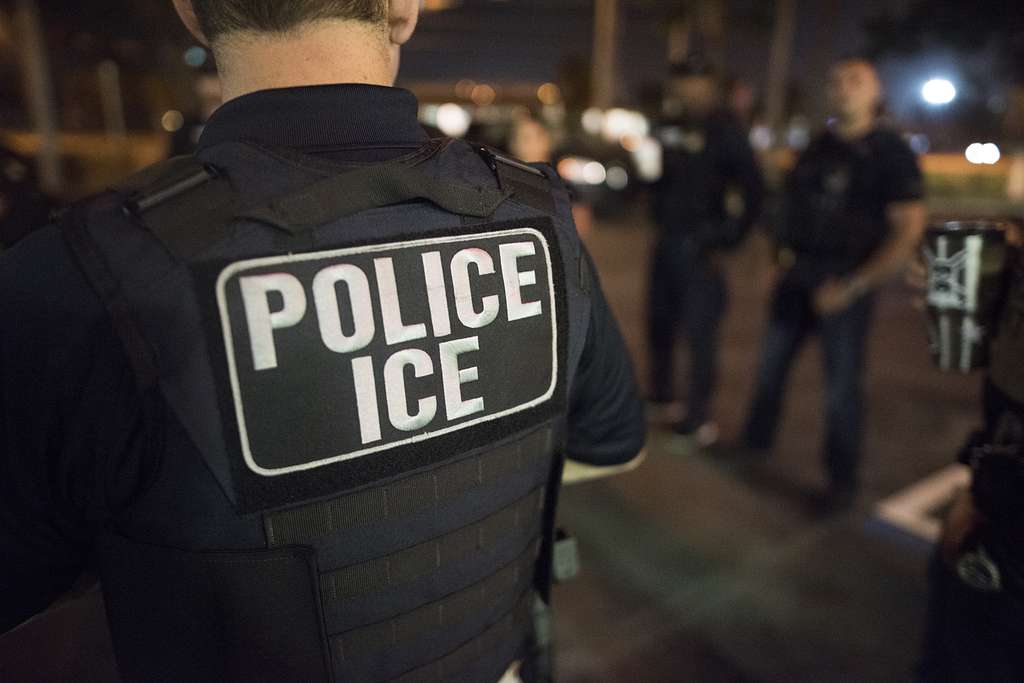 Georgia ICE Raid Jeopardizes Economic Ties with South Korea