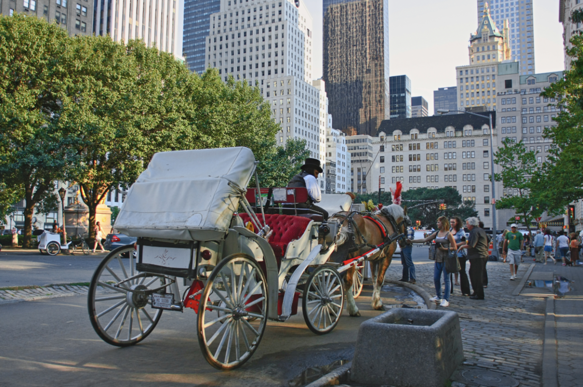 Image courtesy of Wikimedia Commons.