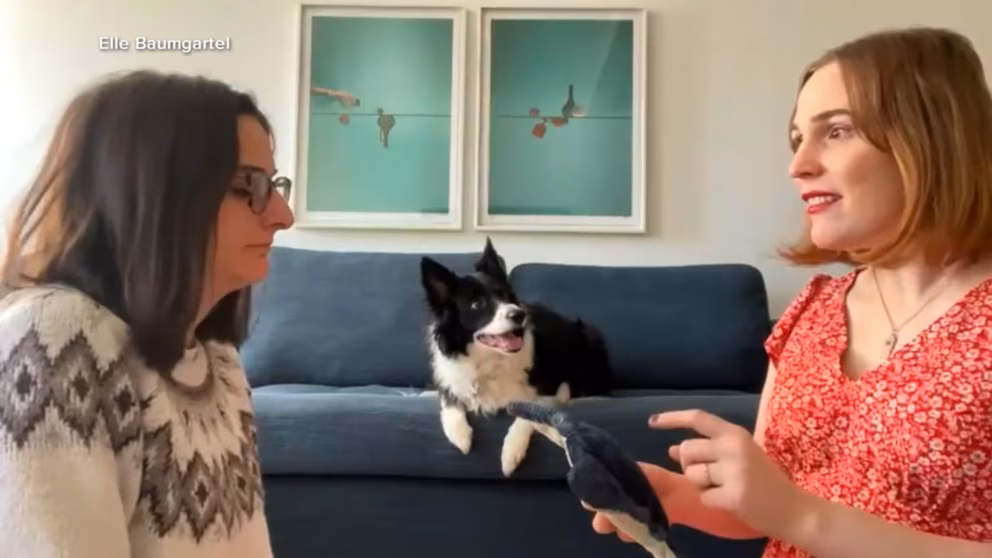 Is Your Dog Eavesdropping On You?