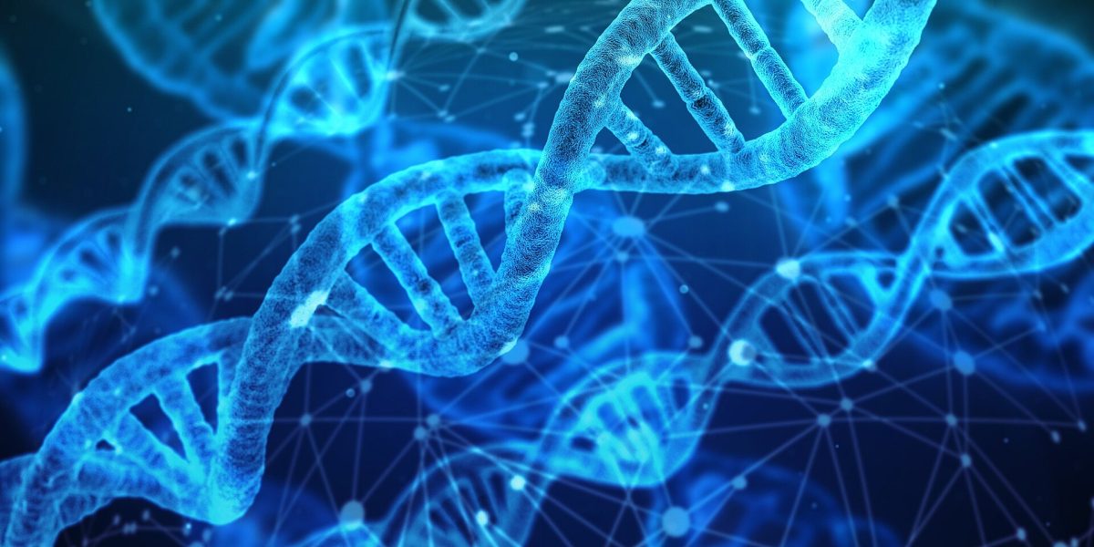 https://commons.wikimedia.org/wiki/File:DNA_strands.jpg 