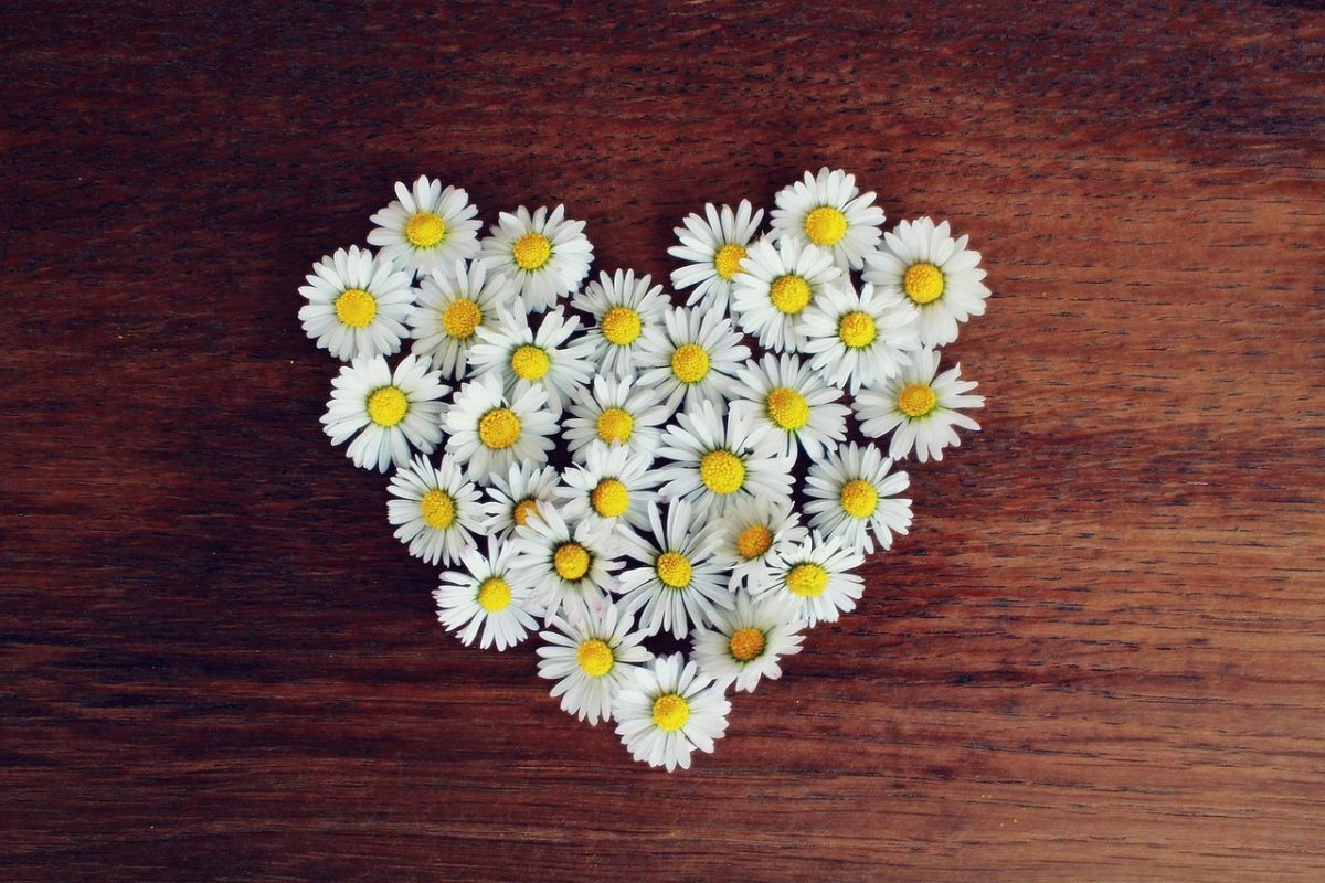 The Shape of Love